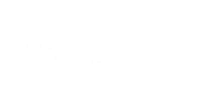 भागीदार जो Mega Rummy के साथ काम करते हैं